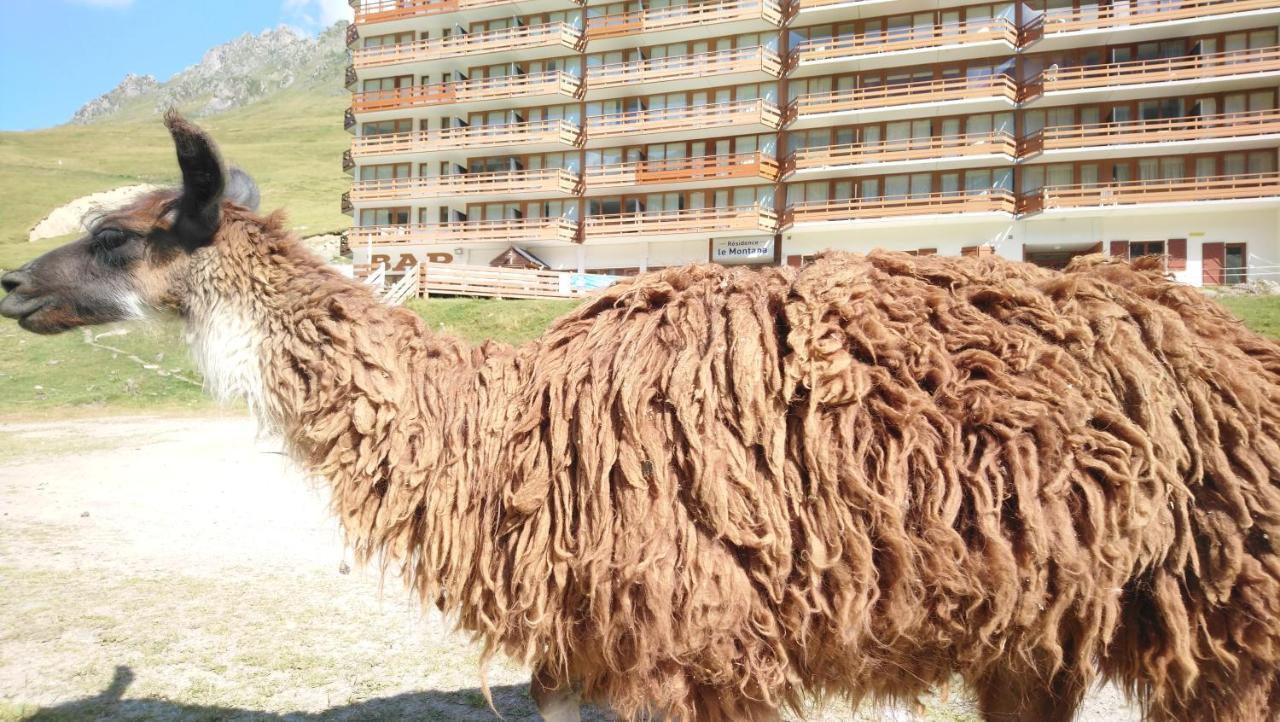Studio En Pleine Montagne Avec Vue Sur Marmottes La Mongie Εξωτερικό φωτογραφία