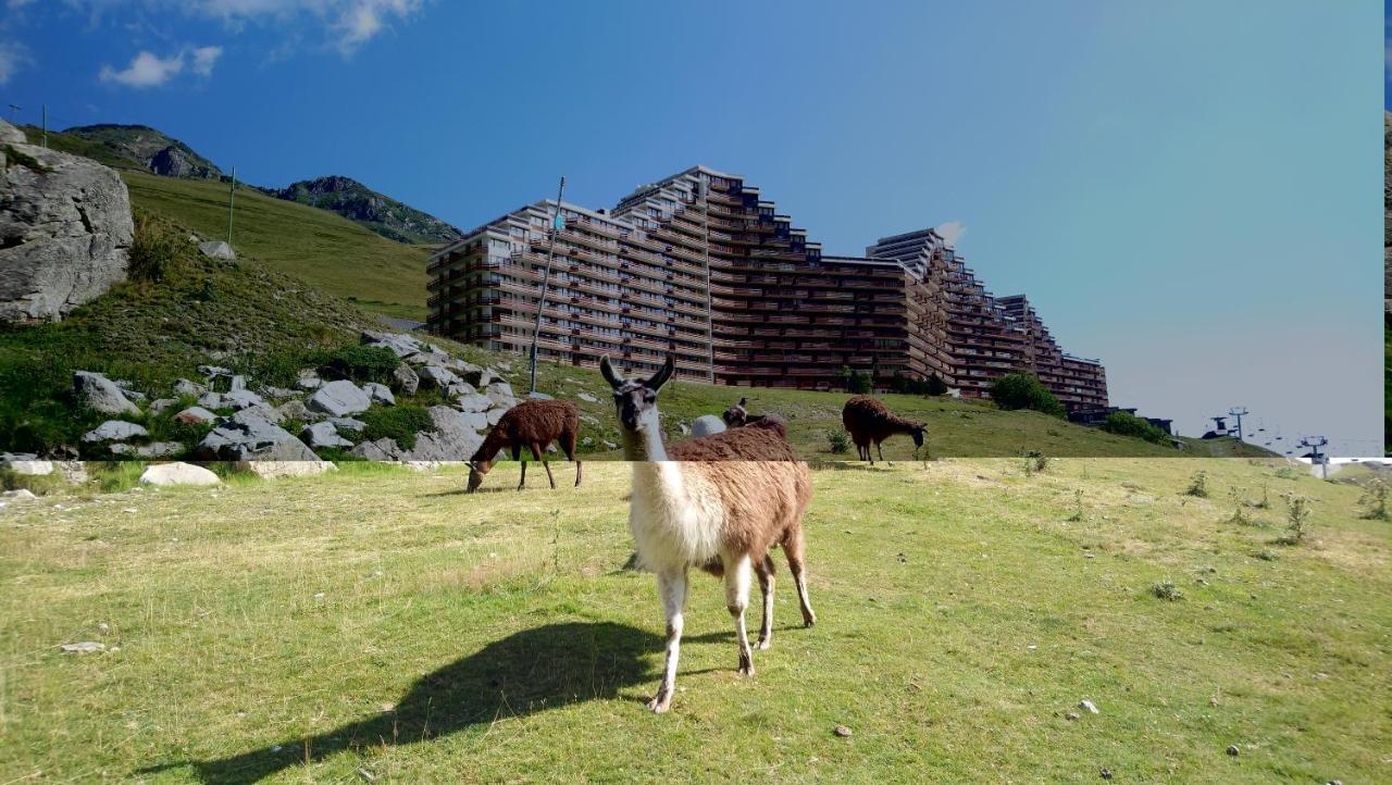 Studio En Pleine Montagne Avec Vue Sur Marmottes La Mongie Εξωτερικό φωτογραφία